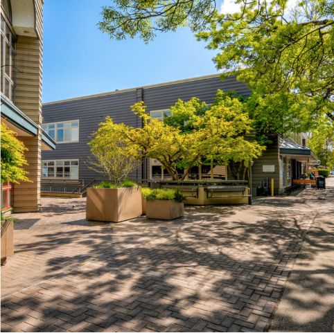 Leschi Lake Center : 110-140 Lakeside Ave, Seattle, WA 98122
